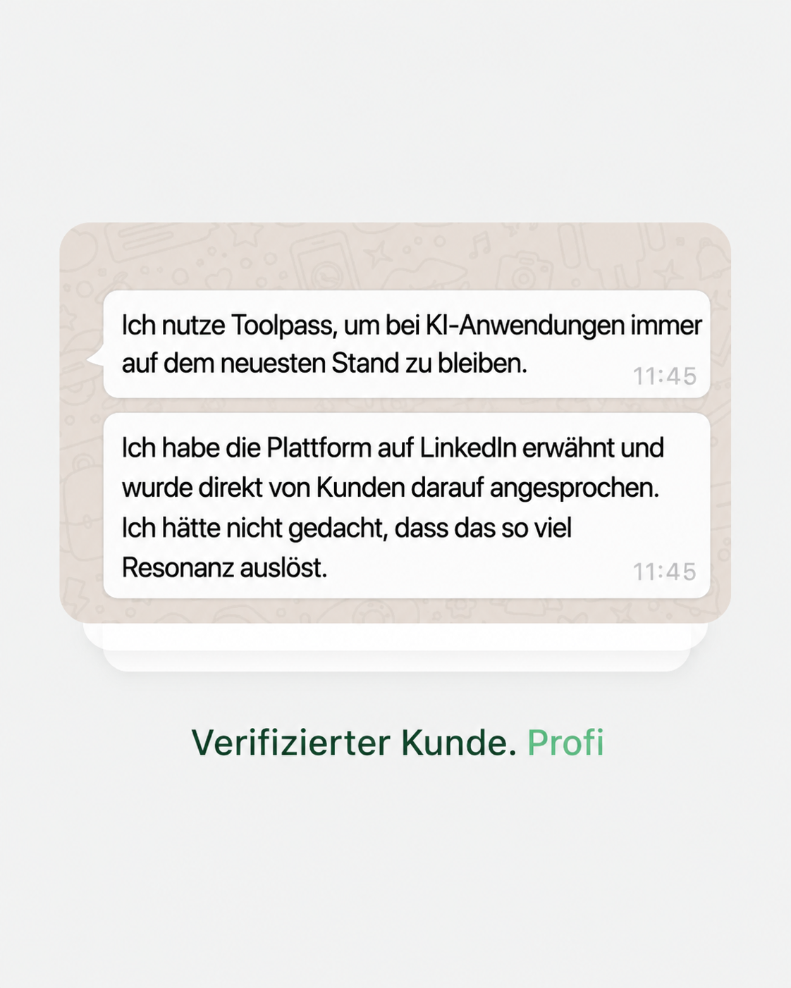 Originalnachricht eines Profis über den Einsatz von TOOLPASS für aktuelle KI-Anwendungen